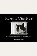 Henri, Le Chat Noir: The Existential Musings Of An Angst-Filled Cat