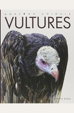Buy Amazing Animals: Vultures Book By: Kate Riggs