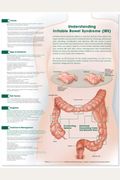 Understanding Irritable Bowel Syndrome Anatomical Chart