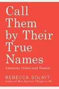 Call Them By Their True Names: American Crises (And Essays)