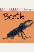 Beetle (Bouncing Bugs)