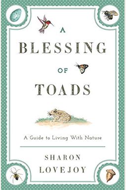 A Blessing Of Toads: A Guide To Living With Nature A Blessing Of Toads: A Guide To Living With Nature