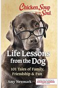 Chicken Soup For The Soul: Life Lessons From The Dog: 101 Tales Of Family, Friendship & Fun