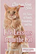 Chicken Soup For The Soul: Life Lessons From The Cat: 101 Tales Of Family, Friendship And Fun