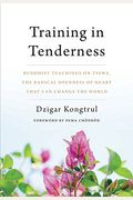 Training In Tenderness: Buddhist Teachings On Tsewa, The Radical Openness Of Heart That Can Change The World