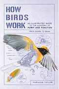How Birds Work: An Illustrated Guide to the Wonders of Form and Function--From Bones to Beak