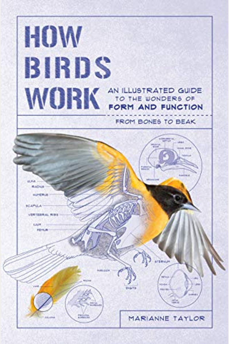 How Birds Work: An Illustrated Guide To The Wonders Of Form And Function--From Bones To Beak