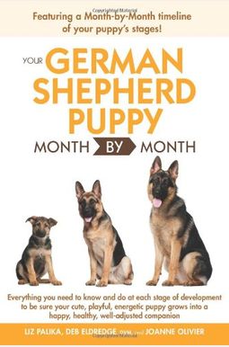 Your German Shepherd Puppy Month By Month Your German Shepherd Puppy Month By Month