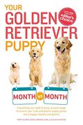 Your Golden Retriever Puppy Month By Month: Everything You Need To Know At Each Stage To Ensure Your Cute And Playful Puppy