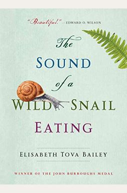 The Sound Of A Wild Snail Eating The Sound Of A Wild Snail Eating
