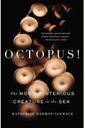 Octopus!: The Most Mysterious Creature In The Sea