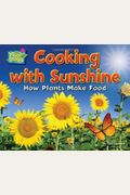 Cooking With Sunshine: How Plants Make Food