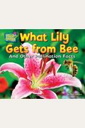 What Lily Gets From Bee: And Other Pollination Facts