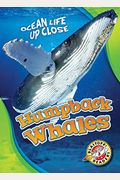 Humpback Whales (Ocean Life Up Close: Blastoff! Readers, Level 3)