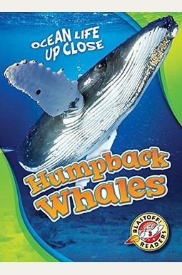 Humpback Whales Humpback Whales