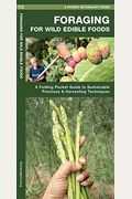Foraging For Wild Edible Foods: A Folding Pocket Guide To Sustainable Practices & Harvesting Techniques