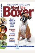 Meet The Boxer