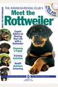 Meet the Rottweiler