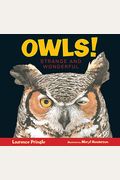 Owls!: Strange and Wonderful