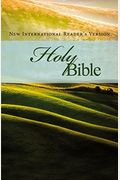 Nirv, Holy Bible (Pack Of 28), Paperback: The Best Translation For Understanding God's Word
