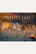 Journey with the Whitetail (W/DVD) [With DVD]