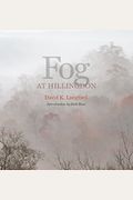 Fog At Hillingdon