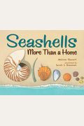 Seashells: More Than A Home