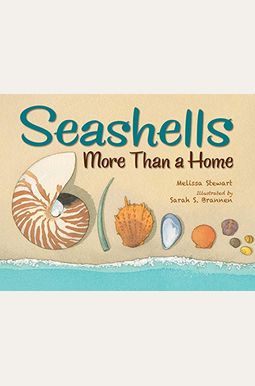 Seashells: More Than a Home Seashells: More Than a Home