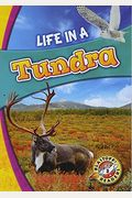 Life In A Tundra (Blastoff! Readers: Biomes Alive!) (Blastoff Readers Level 3, Biomes Alive!)