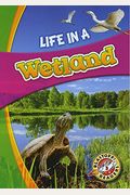 Life In A Wetland