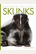 Skunks (Amazing Animals)