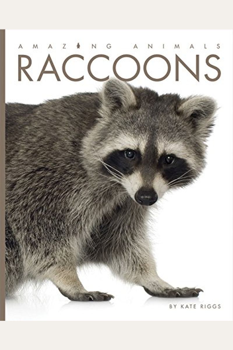 Buy Amazing Animals Raccoons Book By Kate Riggs