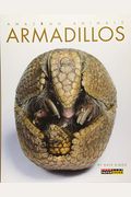 Armadillos (Amazing Animals)