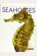 Seahorses (Amazing Animals)