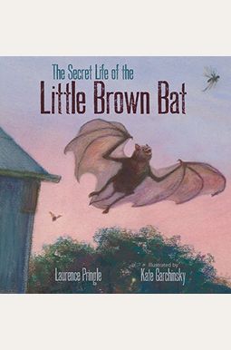The Secret Life of the Little Brown Bat The Secret Life of the Little Brown Bat