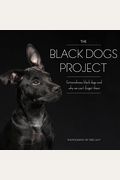 Black Dogs Project: Capturing the Beauty of the Real Underdogs