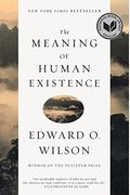 The Meaning Of Human Existence