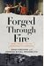 Forged Through Fire: War, Peace, And The Democratic Bargain