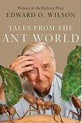 Tales From The Ant World