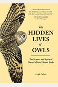 The Hidden Lives Of Owls: The Science And Spirit Of Nature's Most Elusive Birds