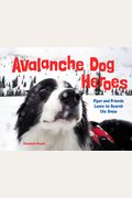 Avalanche Dog Heroes: Piper And Friends Learn To Search The Snow
