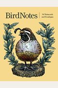 Birdnotes (16 Notecards, 8 Original Designs): 16 Notecards and Envelopes