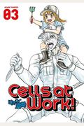 Cells At Work! 3