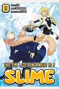 That Time I Got Reincarnated As A Slime, Vol. 11 (Light Novel)