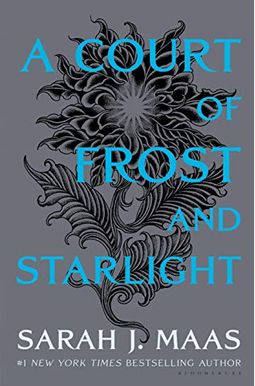 A Court Of Frost And Starlight (A Court Of Thorns And Roses) A Court Of Frost And Starlight (A Court Of Thorns And Roses)