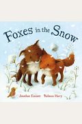 Foxes In The Snow