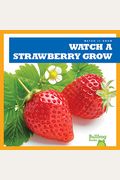 Watch A Strawberry Grow