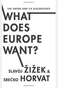 What Does Europe Want?: The Union And Its Discontents