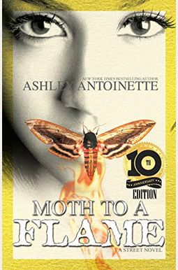 Moth To A Flame Moth To A Flame
