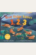 Blue Ridge Babies 1, 2, 3: A Counting Book